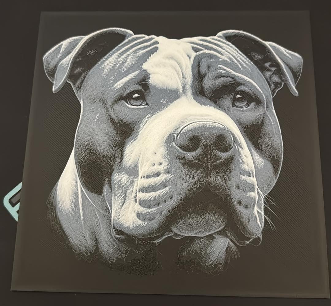 3D personalised print of your animal