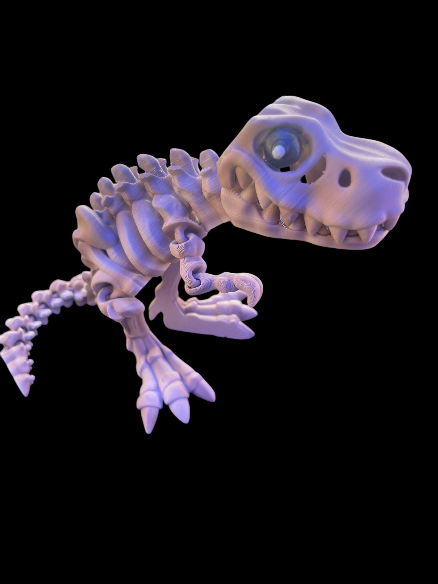 Articulated T-Rex skeleton