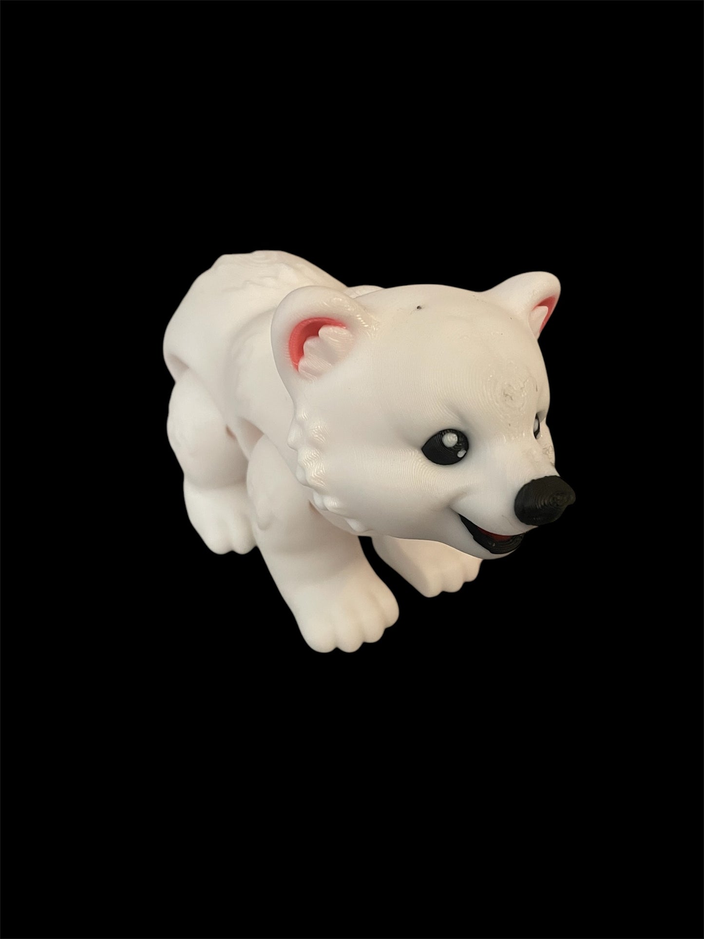 Polar bear