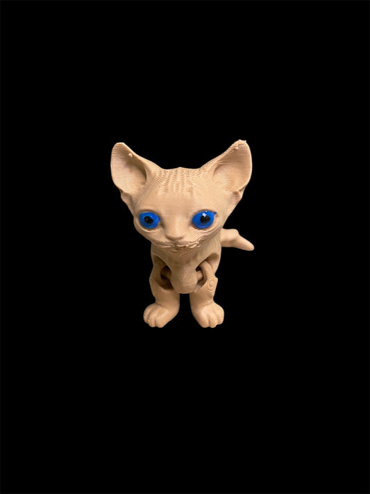 Tan Sphynx with blue eyes small