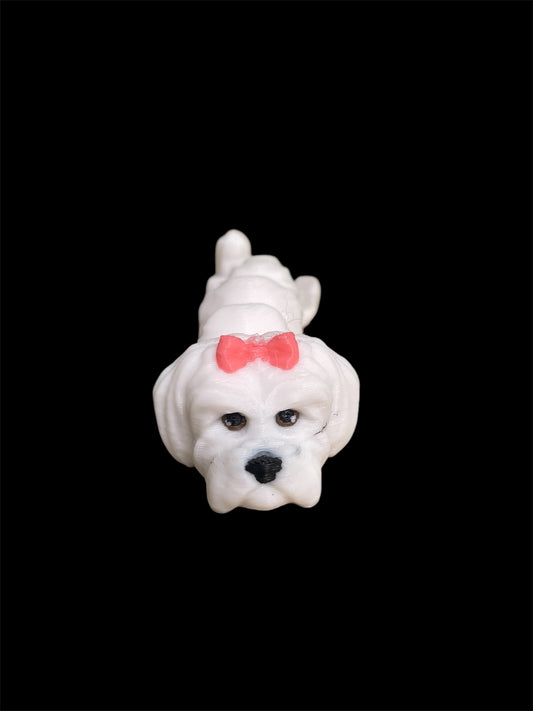 Maltese