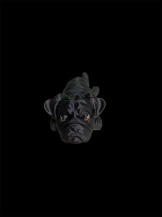 Pug