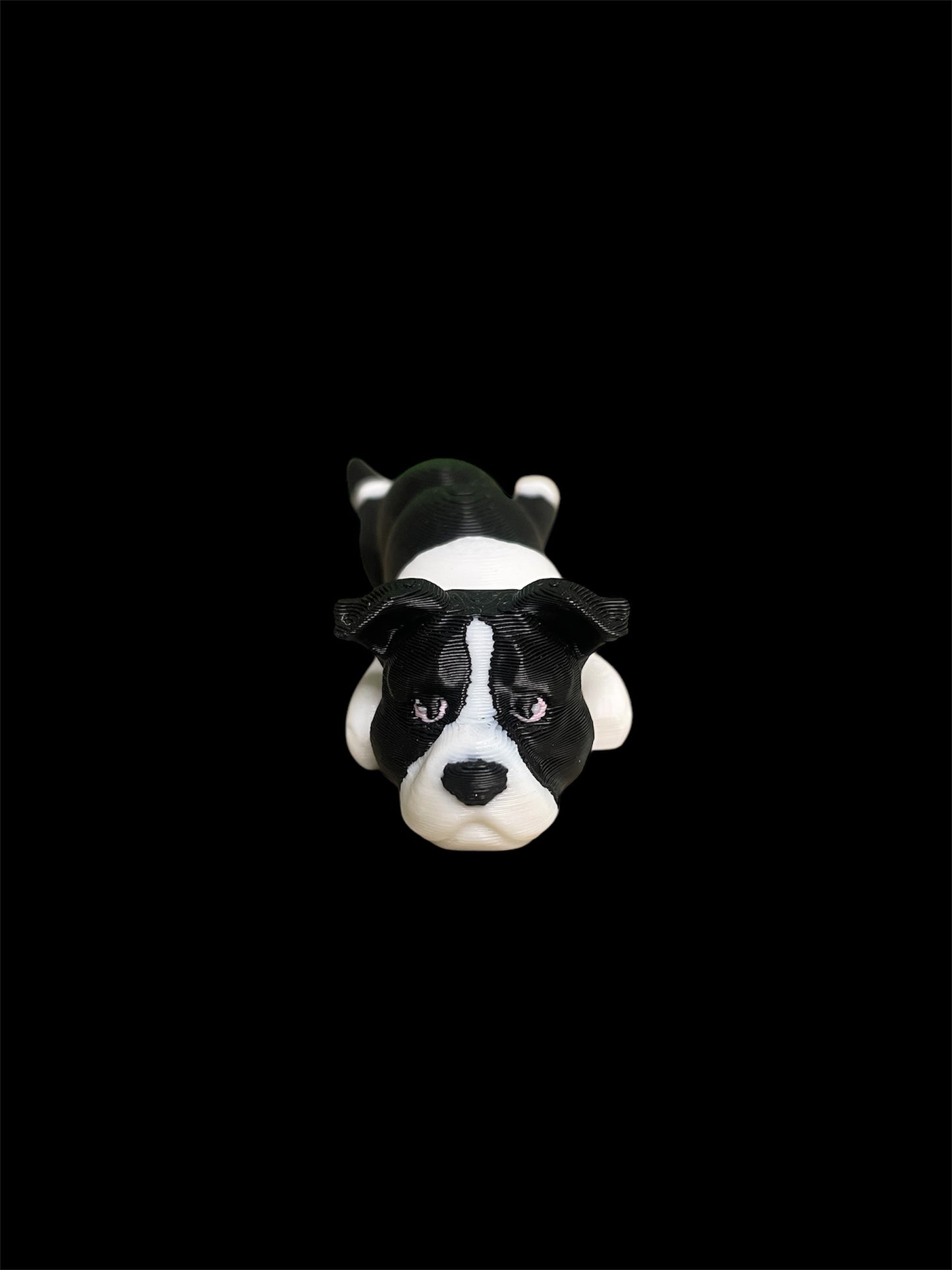 Staffy