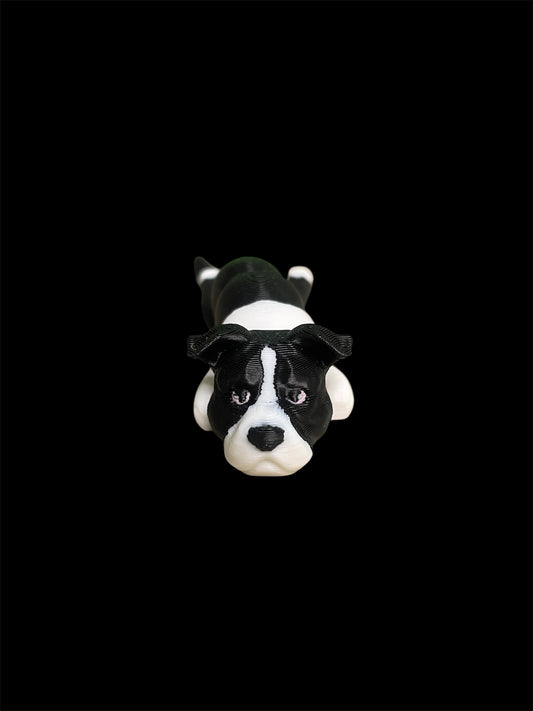 Staffy