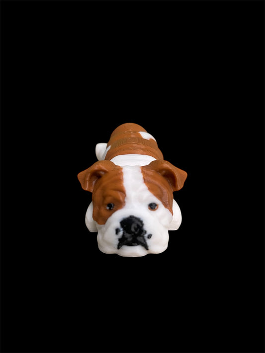 English Bulldog