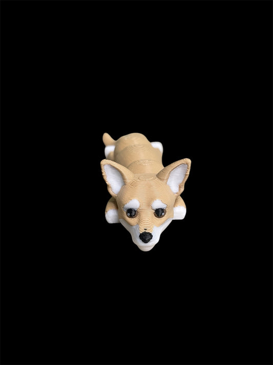 Chihuahua